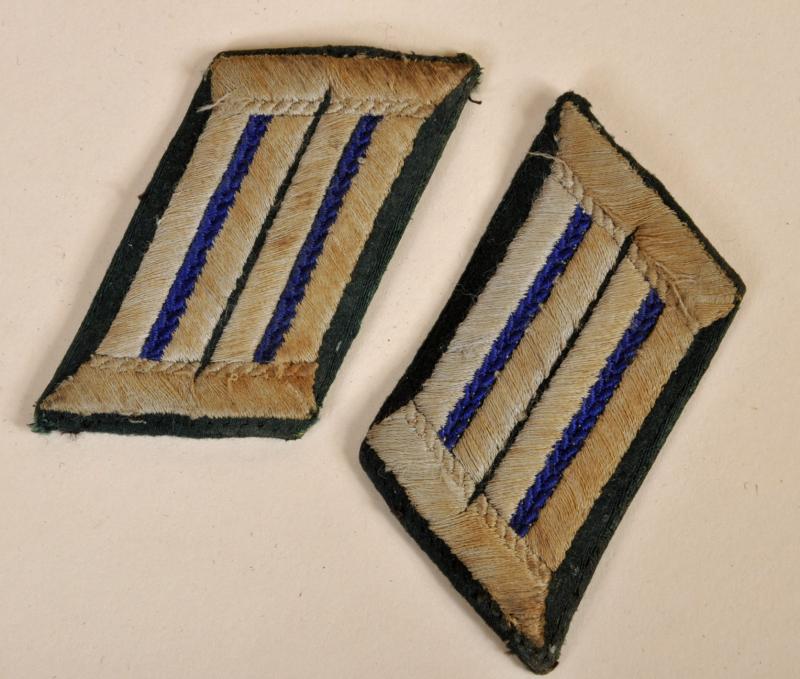 GERMAN WWII MEDICAL OFFICERS COLLAR PATCHES.