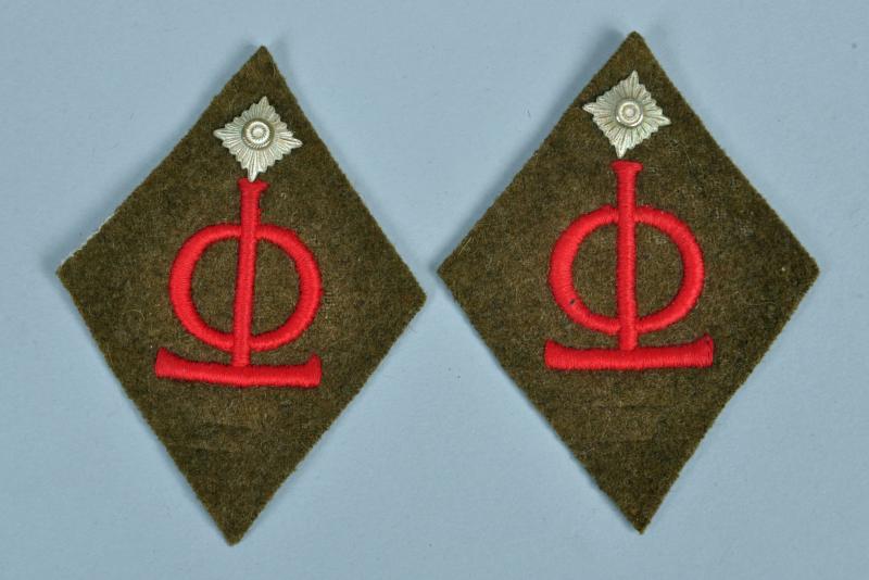 GERMAN WWII OT TRUPPENFUHRER COLLAR TABS.