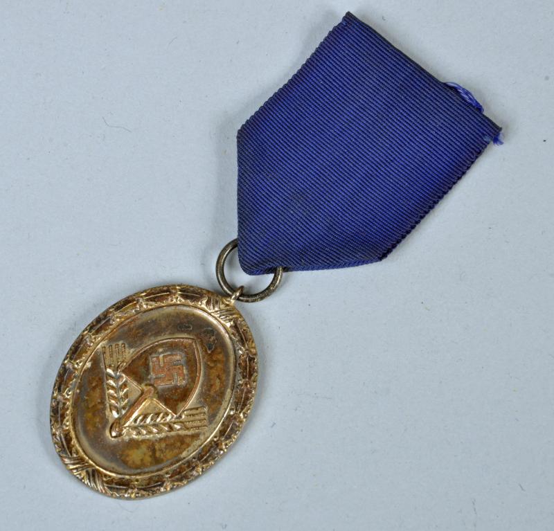 GERMAN WWII 12 YEAR RAD MEDAL IN SILVER, HEAVY WEIGHT VERSION.