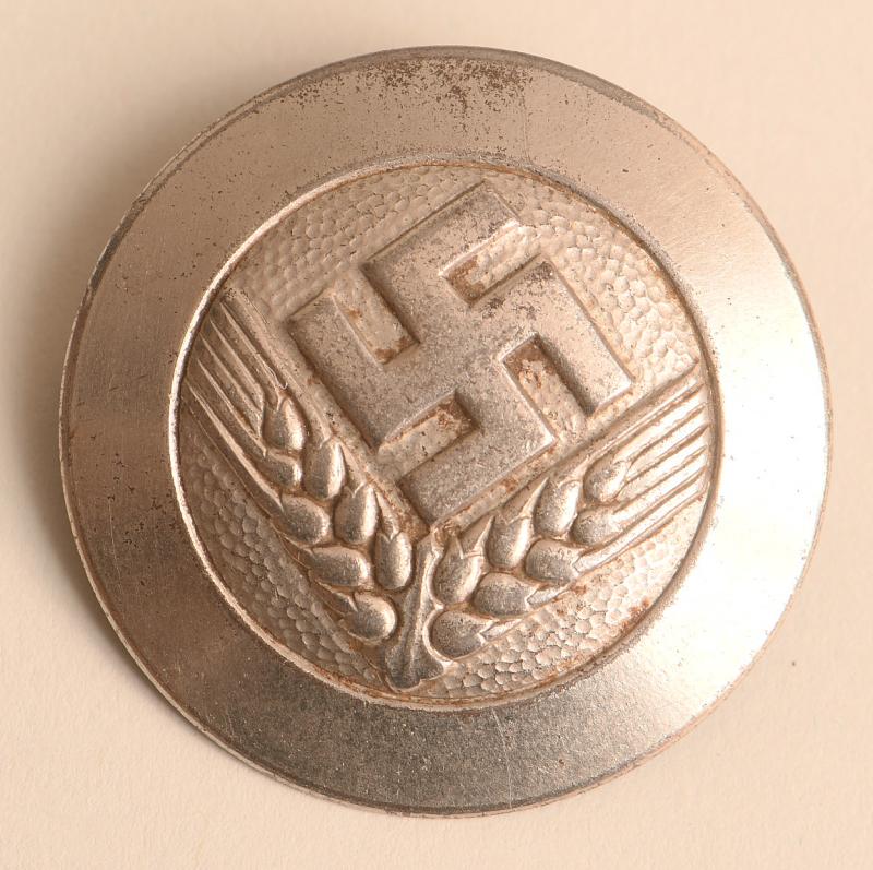 GERMAN WWII FEMALE RAD BROOCH.