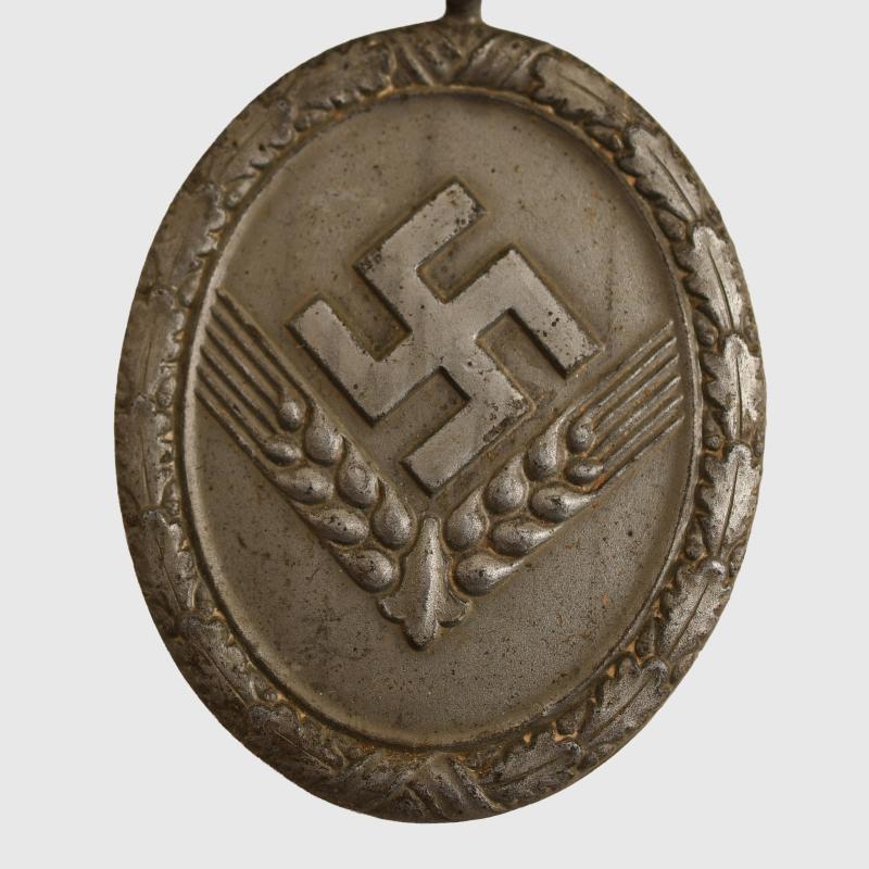 GERMAN WWII RAD 18 YEAR LONG SERVICE MEDAL WITH FEMALE WRAP.