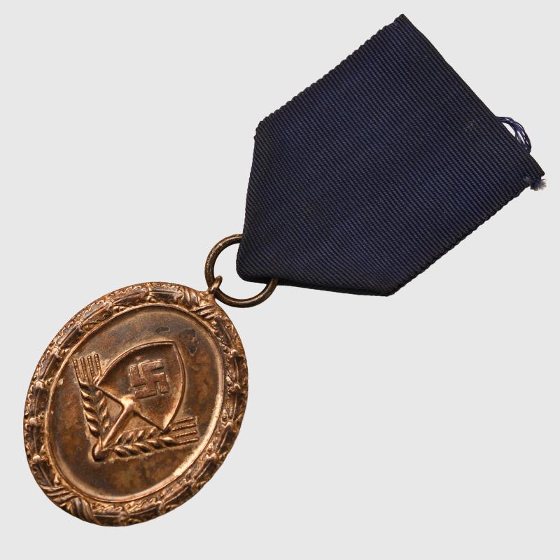 GERMAN WWII 12 YEAR RAD MEDAL IN SILVER, HEAVY WEIGHT VERSION.