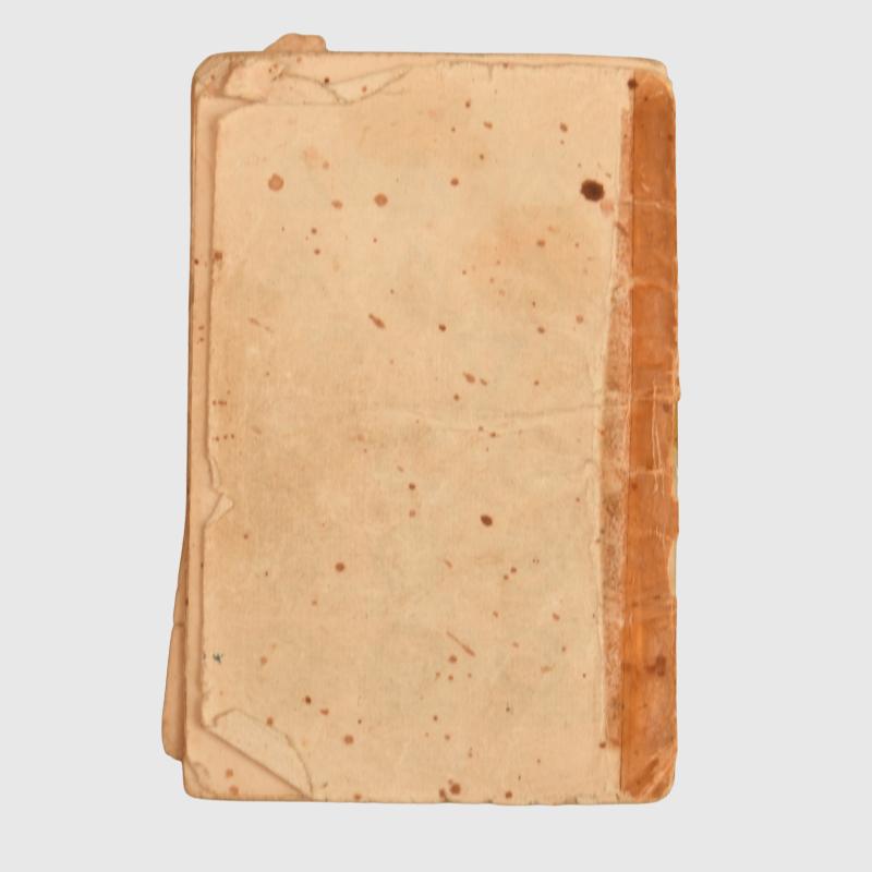 GERMAN WWII DIARY SECTION.