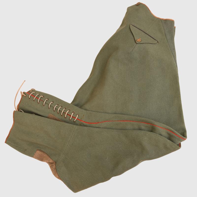 GERMAN WWII ARMY VETERINANY PIPED SERVICE TUNIC AND BREECHES.