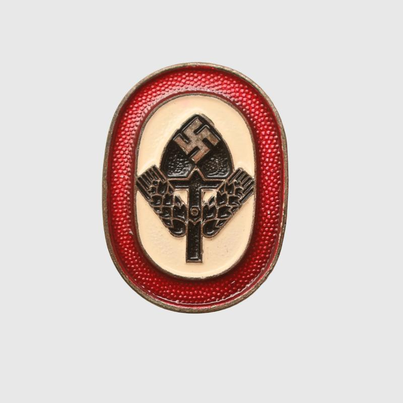 GERMAN WWII RAD MEMBERSHIP PIN.